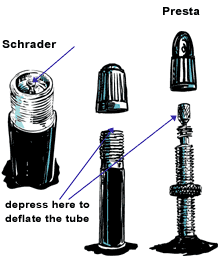 schrader and presta valve