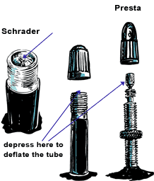 presta tube in schrader rim